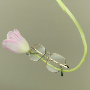 กรอบแว่นตา Jill Stuart JL33036 C02